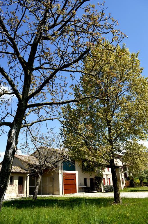 Agriturismo Ca Roer San Zenone Exteriör bild