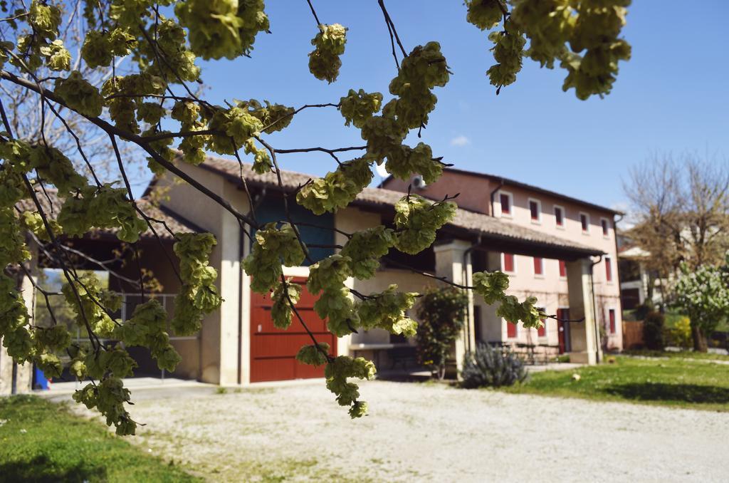 Agriturismo Ca Roer San Zenone Exteriör bild